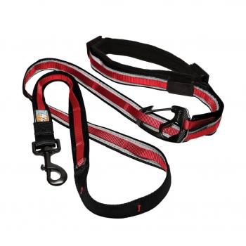 Kurgo Reflect & Protect Quantum Leash Barn Red